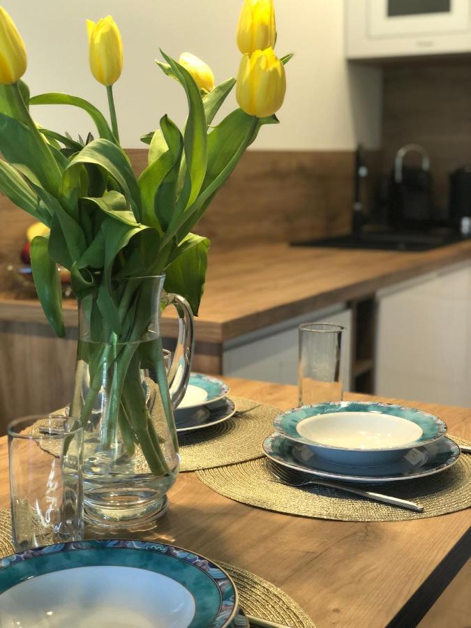 Appartamento Apartament Sloneczny By Rentoom Stary Toruń Esterno foto